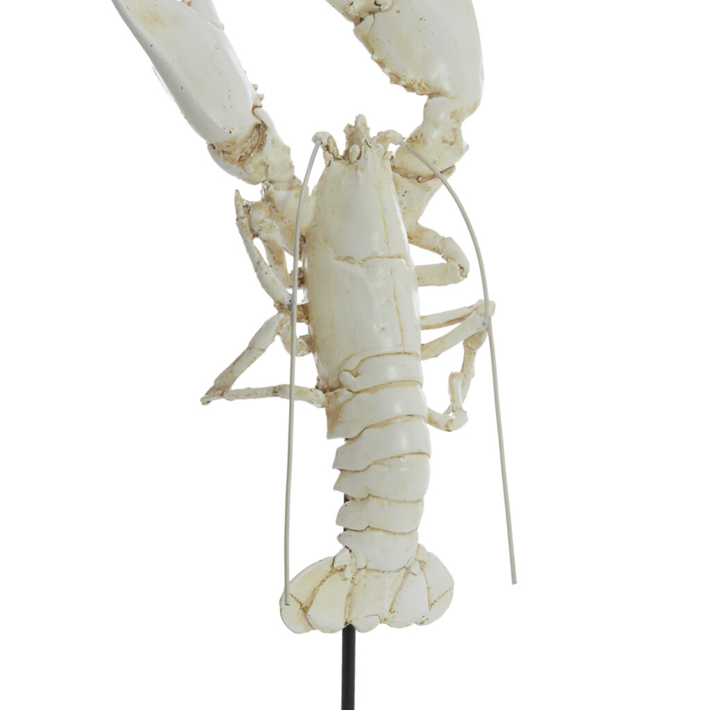 Lobster Figure | Off White
