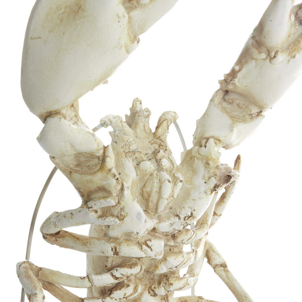 Lobster Figure | Off White